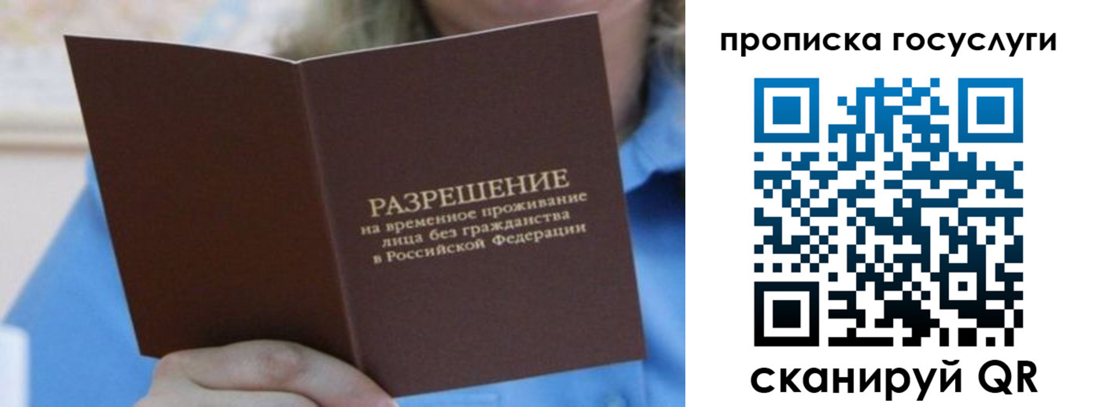 прописка гарантия в Белгороде